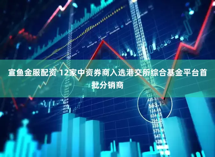 宣鱼金服配资 12家中资券商入选港交所综合基金平台首批分销商