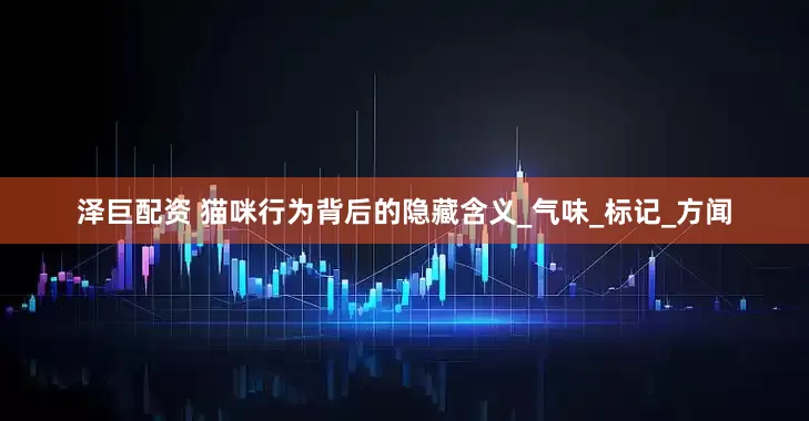 泽巨配资 猫咪行为背后的隐藏含义_气味_标记_方闻